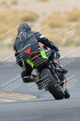 media/Jan-14-2023-SoCal Trackdays (Sat) [[497694156f]]/Turn 12 Backside (1010am)/